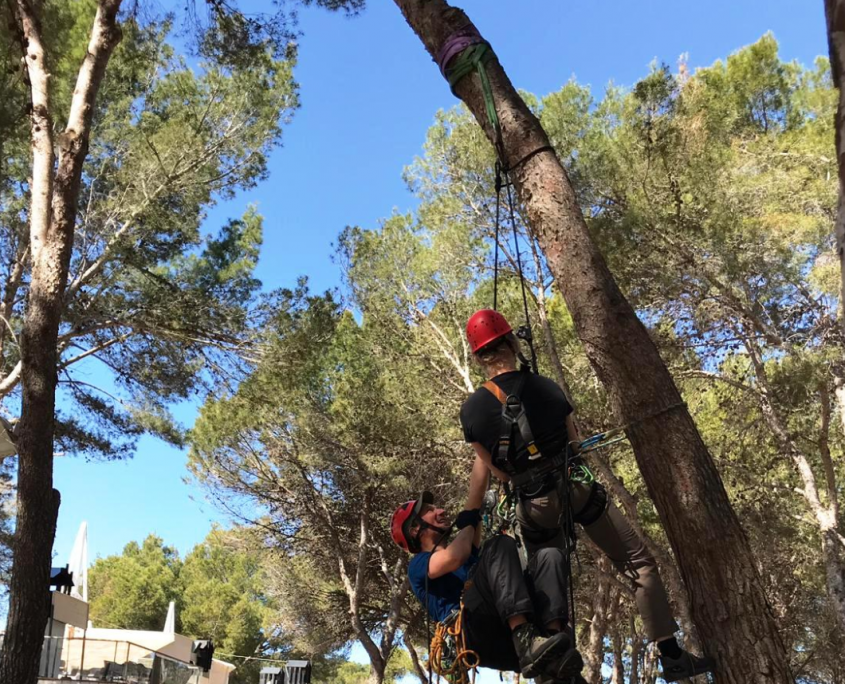 Kletterwald auf Mallorca realisiert durch TurmX-Event2Go